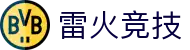 雷火·竞技(中国)-全球领先的电竞赛事平台